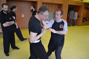 hunggarnancy-artsmartiaux-wushu-kungfu-demonstration-23avril2016-18               